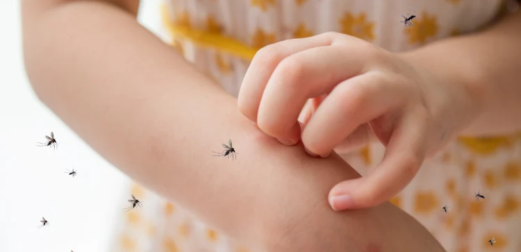 Asma y alergias en alergias a insectos en CDMX y Edo Mex